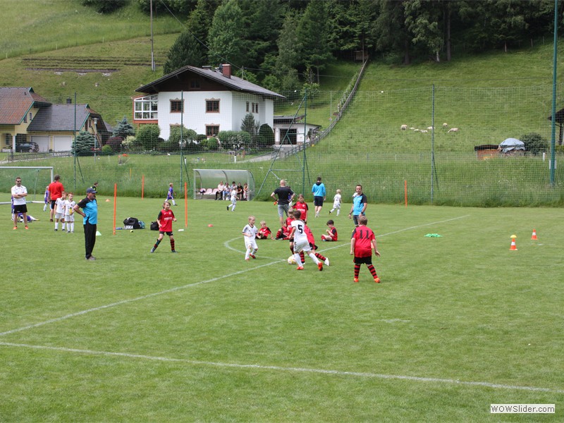IMG_3905 - Kopie