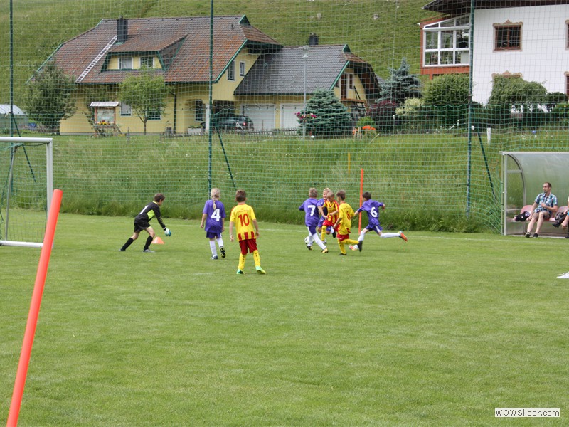 IMG_3908 - Kopie